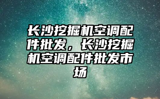 長沙挖掘機空調(diào)配件批發(fā)，長沙挖掘機空調(diào)配件批發(fā)市場