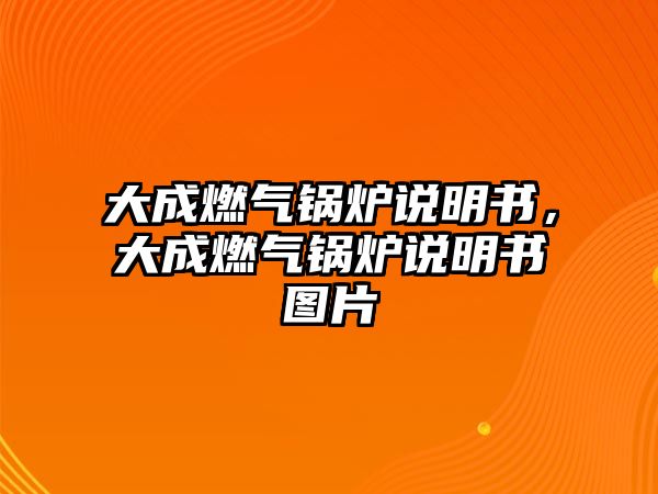 大成燃氣鍋爐說明書，大成燃氣鍋爐說明書圖片