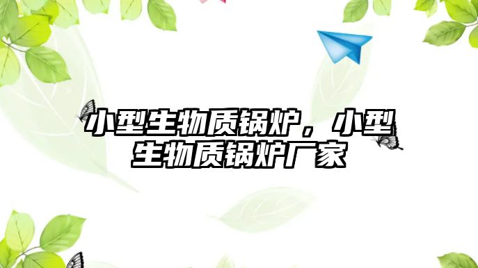 小型生物質(zhì)鍋爐，小型生物質(zhì)鍋爐廠家