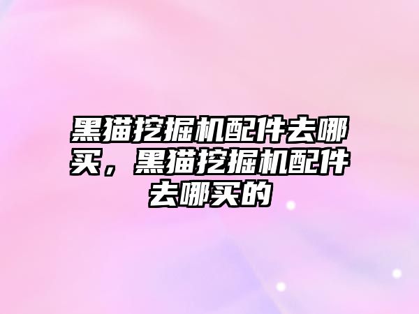 黑貓挖掘機配件去哪買，黑貓挖掘機配件去哪買的