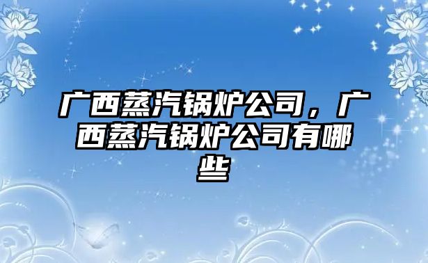 廣西蒸汽鍋爐公司，廣西蒸汽鍋爐公司有哪些