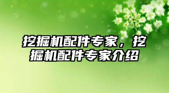 挖掘機配件專家，挖掘機配件專家介紹