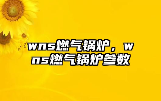 wns燃?xì)忮仩t，wns燃?xì)忮仩t參數(shù)