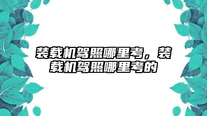 裝載機駕照哪里考，裝載機駕照哪里考的