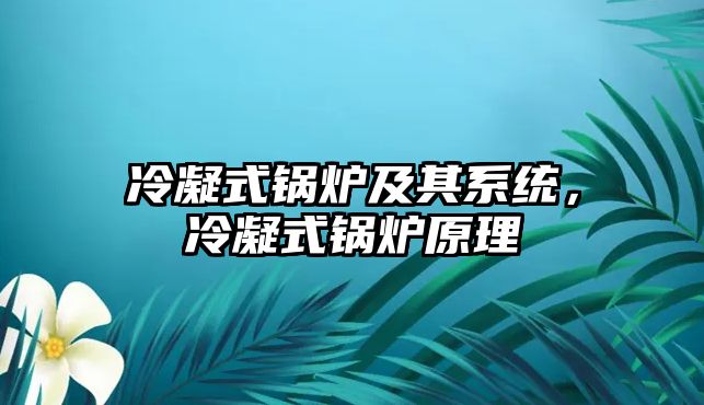 冷凝式鍋爐及其系統(tǒng)，冷凝式鍋爐原理