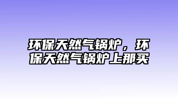 環(huán)保天然氣鍋爐，環(huán)保天然氣鍋爐上那買