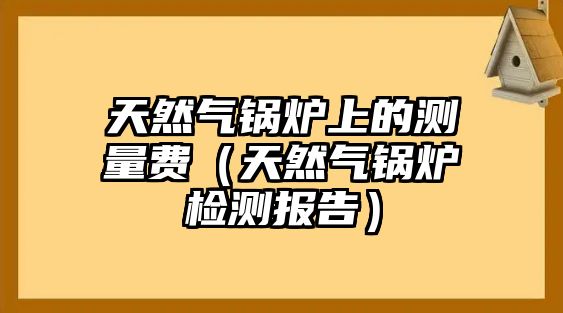 天然氣鍋爐上的測量費（天然氣鍋爐檢測報告）