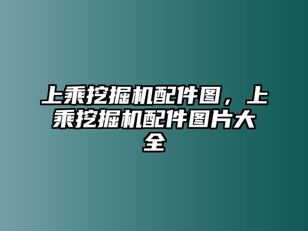 上乘挖掘機配件圖，上乘挖掘機配件圖片大全