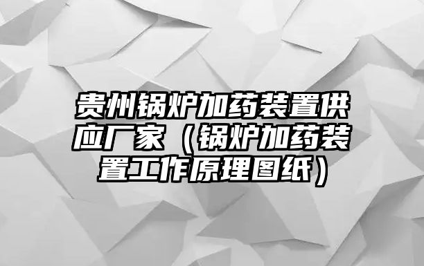 貴州鍋爐加藥裝置供應(yīng)廠家（鍋爐加藥裝置工作原理圖紙）