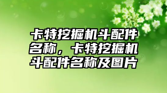 卡特挖掘機斗配件名稱，卡特挖掘機斗配件名稱及圖片