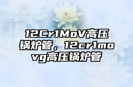 12Cr1MoV高壓鍋爐管，12cr1movg高壓鍋爐管