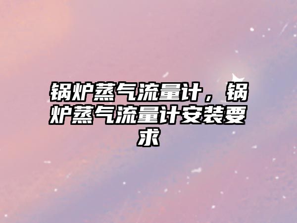 鍋爐蒸氣流量計，鍋爐蒸氣流量計安裝要求