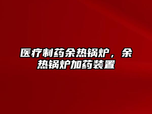 醫(yī)療制藥余熱鍋爐，余熱鍋爐加藥裝置