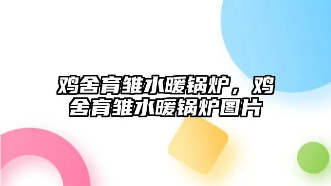 雞舍育雛水暖鍋爐，雞舍育雛水暖鍋爐圖片