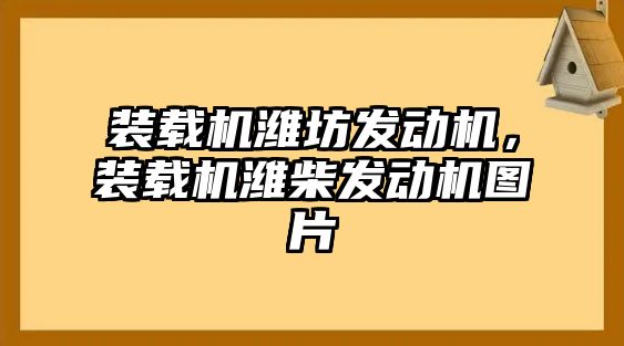 裝載機(jī)濰坊發(fā)動(dòng)機(jī)，裝載機(jī)濰柴發(fā)動(dòng)機(jī)圖片