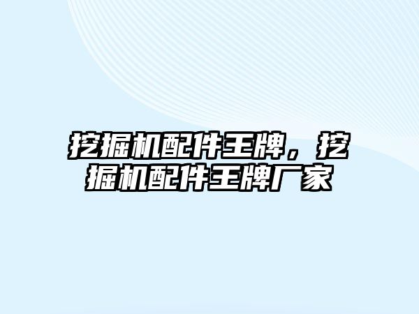 挖掘機配件王牌，挖掘機配件王牌廠家