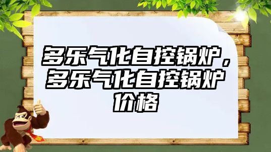 多樂氣化自控鍋爐，多樂氣化自控鍋爐價(jià)格