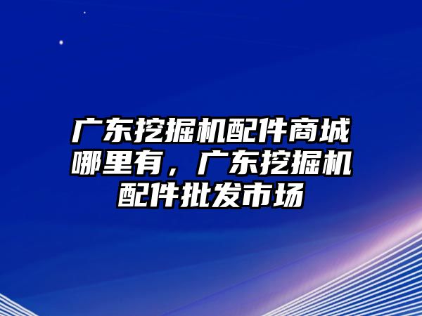 廣東挖掘機(jī)配件商城哪里有，廣東挖掘機(jī)配件批發(fā)市場(chǎng)