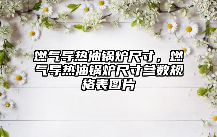 燃?xì)鈱?dǎo)熱油鍋爐尺寸，燃?xì)鈱?dǎo)熱油鍋爐尺寸參數(shù)規(guī)格表圖片