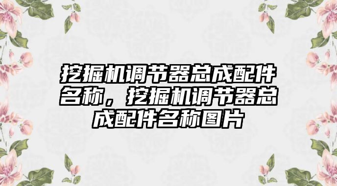 挖掘機(jī)調(diào)節(jié)器總成配件名稱，挖掘機(jī)調(diào)節(jié)器總成配件名稱圖片