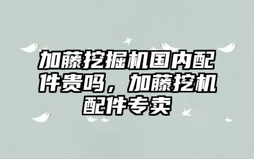 加藤挖掘機(jī)國(guó)內(nèi)配件貴嗎，加藤挖機(jī)配件專賣