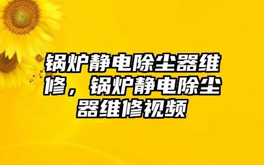 鍋爐靜電除塵器維修，鍋爐靜電除塵器維修視頻