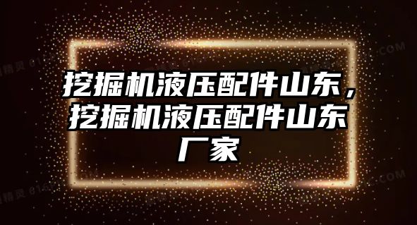 挖掘機液壓配件山東，挖掘機液壓配件山東廠家