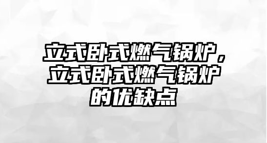 立式臥式燃?xì)忮仩t，立式臥式燃?xì)忮仩t的優(yōu)缺點(diǎn)