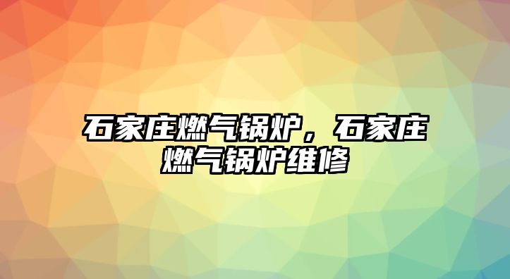 石家莊燃?xì)忮仩t，石家莊燃?xì)忮仩t維修