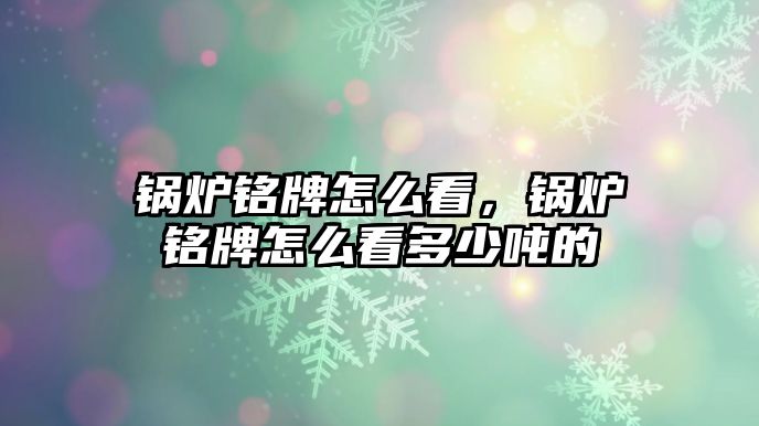 鍋爐銘牌怎么看，鍋爐銘牌怎么看多少?lài)嵉?/>	
								</i>
								<p class=