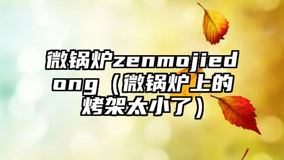 微鍋爐zenmojiedong（微鍋爐上的烤架太小了）