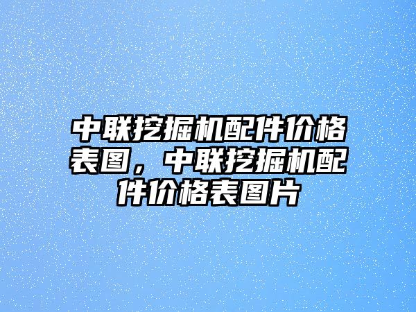 中聯(lián)挖掘機(jī)配件價(jià)格表圖，中聯(lián)挖掘機(jī)配件價(jià)格表圖片