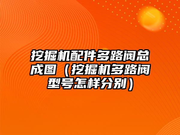 挖掘機(jī)配件多路閥總成圖（挖掘機(jī)多路閥型號怎樣分別）