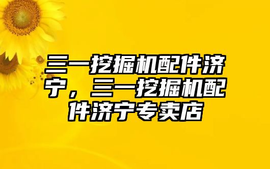 三一挖掘機配件濟寧，三一挖掘機配件濟寧專賣店