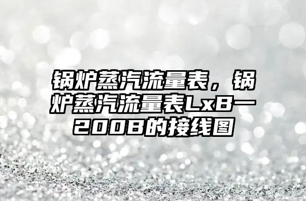 鍋爐蒸汽流量表，鍋爐蒸汽流量表LxB一200B的接線圖