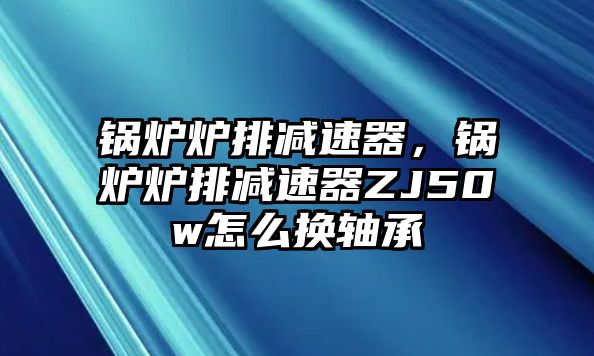 鍋爐爐排減速器，鍋爐爐排減速器ZJ50w怎么換軸承