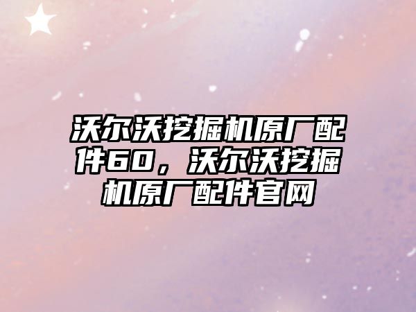 沃爾沃挖掘機(jī)原廠配件60，沃爾沃挖掘機(jī)原廠配件官網(wǎng)