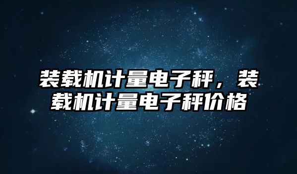 裝載機計量電子秤，裝載機計量電子秤價格