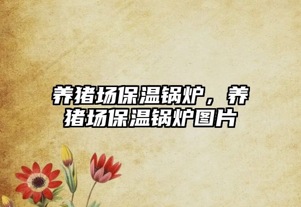 養(yǎng)豬場保溫鍋爐，養(yǎng)豬場保溫鍋爐圖片