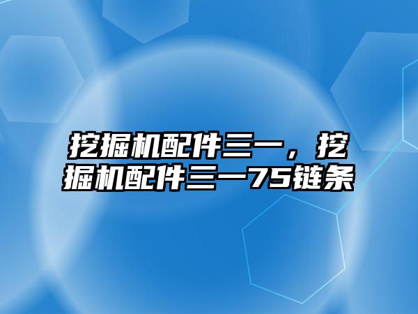 挖掘機配件三一，挖掘機配件三一75鏈條