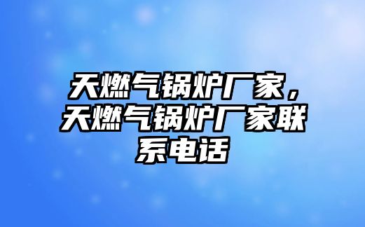 天燃?xì)忮仩t廠家，天燃?xì)忮仩t廠家聯(lián)系電話