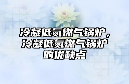 冷凝低氮燃?xì)忮仩t，冷凝低氮燃?xì)忮仩t的優(yōu)缺點