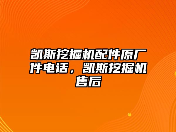 凱斯挖掘機配件原廠件電話，凱斯挖掘機售后