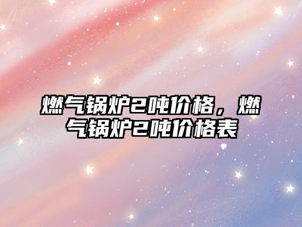 燃?xì)忮仩t2噸價格，燃?xì)忮仩t2噸價格表