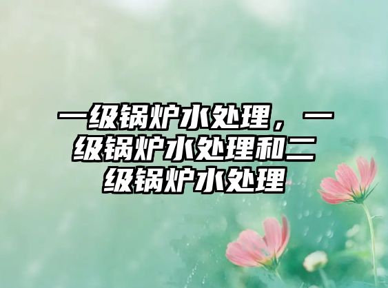 一級鍋爐水處理，一級鍋爐水處理和二級鍋爐水處理