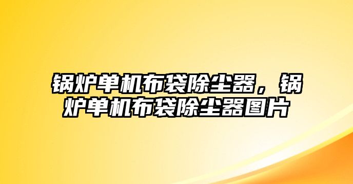 鍋爐單機(jī)布袋除塵器，鍋爐單機(jī)布袋除塵器圖片