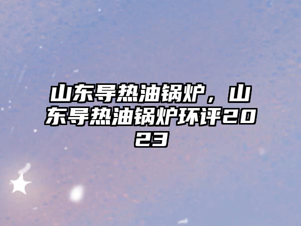 山東導(dǎo)熱油鍋爐，山東導(dǎo)熱油鍋爐環(huán)評(píng)2023