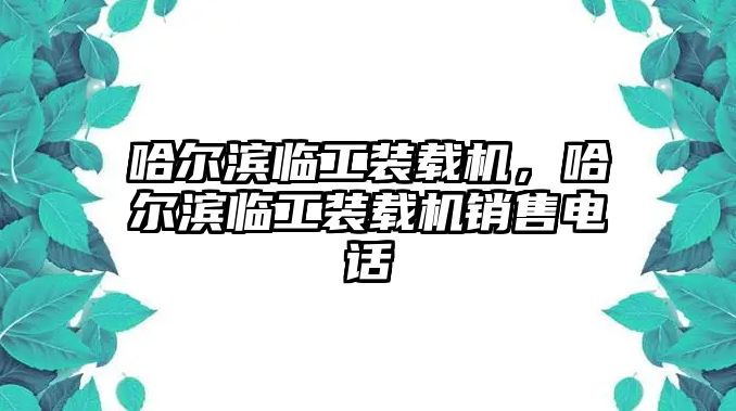 哈爾濱臨工裝載機，哈爾濱臨工裝載機銷售電話