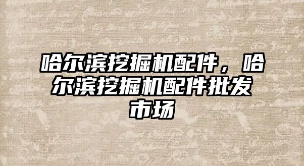 哈爾濱挖掘機配件，哈爾濱挖掘機配件批發(fā)市場