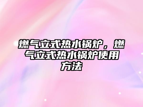 燃?xì)饬⑹綗崴仩t，燃?xì)饬⑹綗崴仩t使用方法